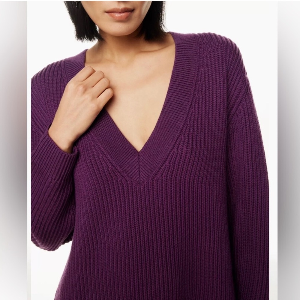 Aritzia babaton roger sweater